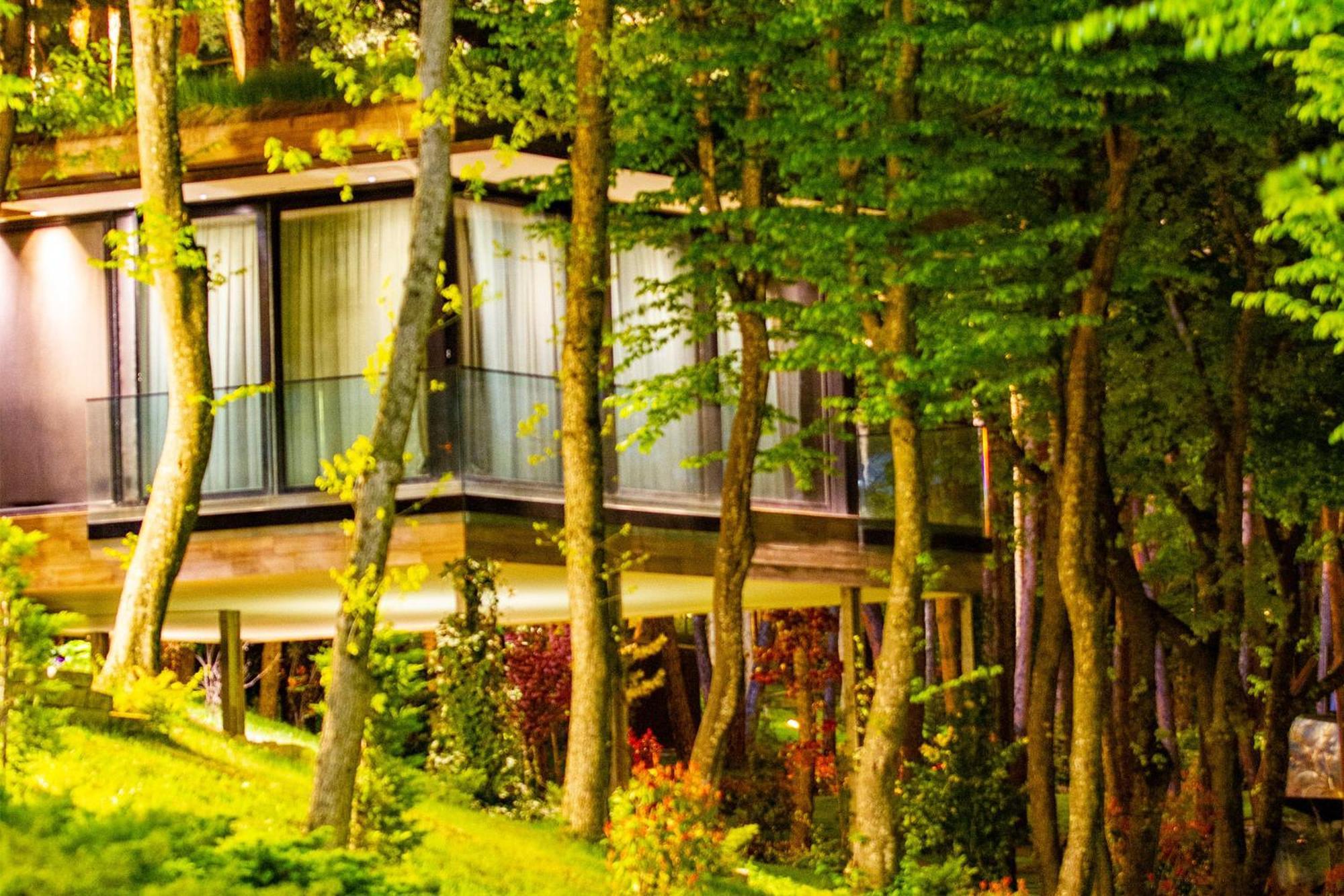 Bioli Wellness Resort Kojori Εξωτερικό φωτογραφία