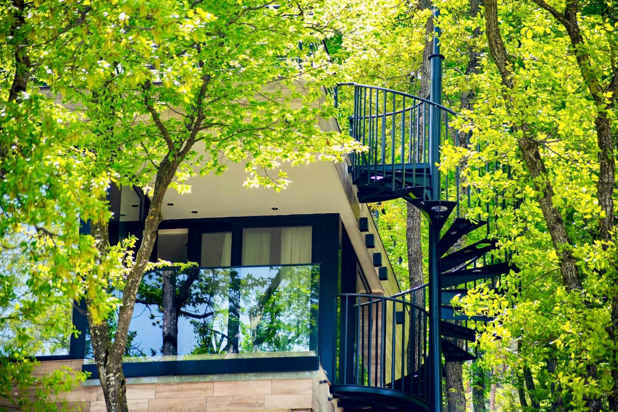 Bioli Wellness Resort Kojori Εξωτερικό φωτογραφία