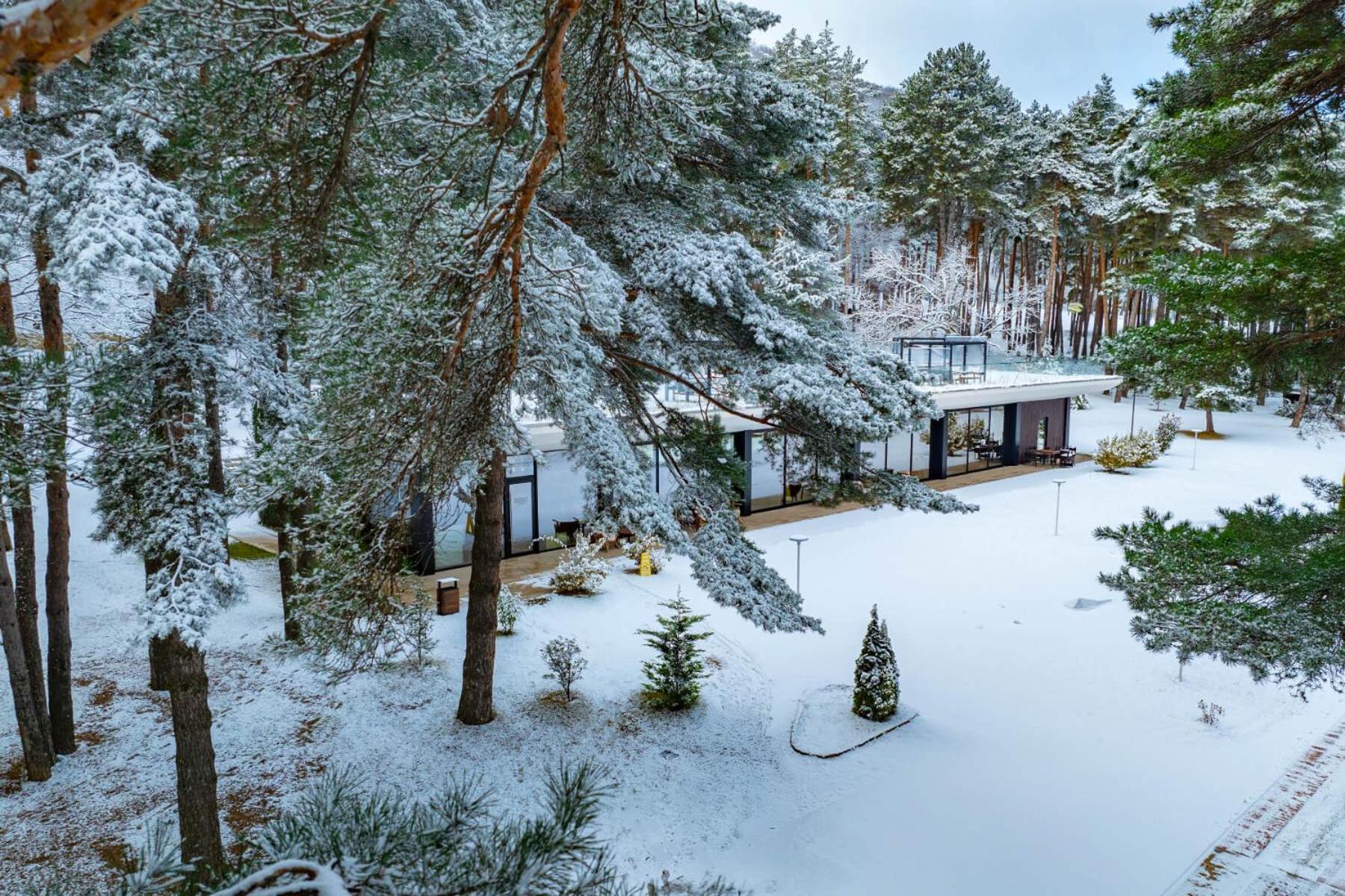 Bioli Wellness Resort Kojori Εξωτερικό φωτογραφία