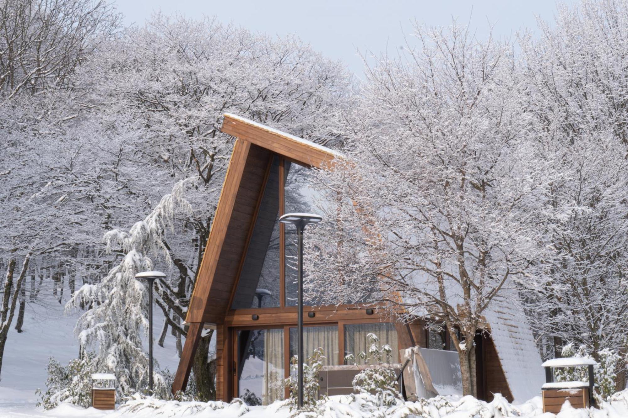 Bioli Wellness Resort Kojori Εξωτερικό φωτογραφία