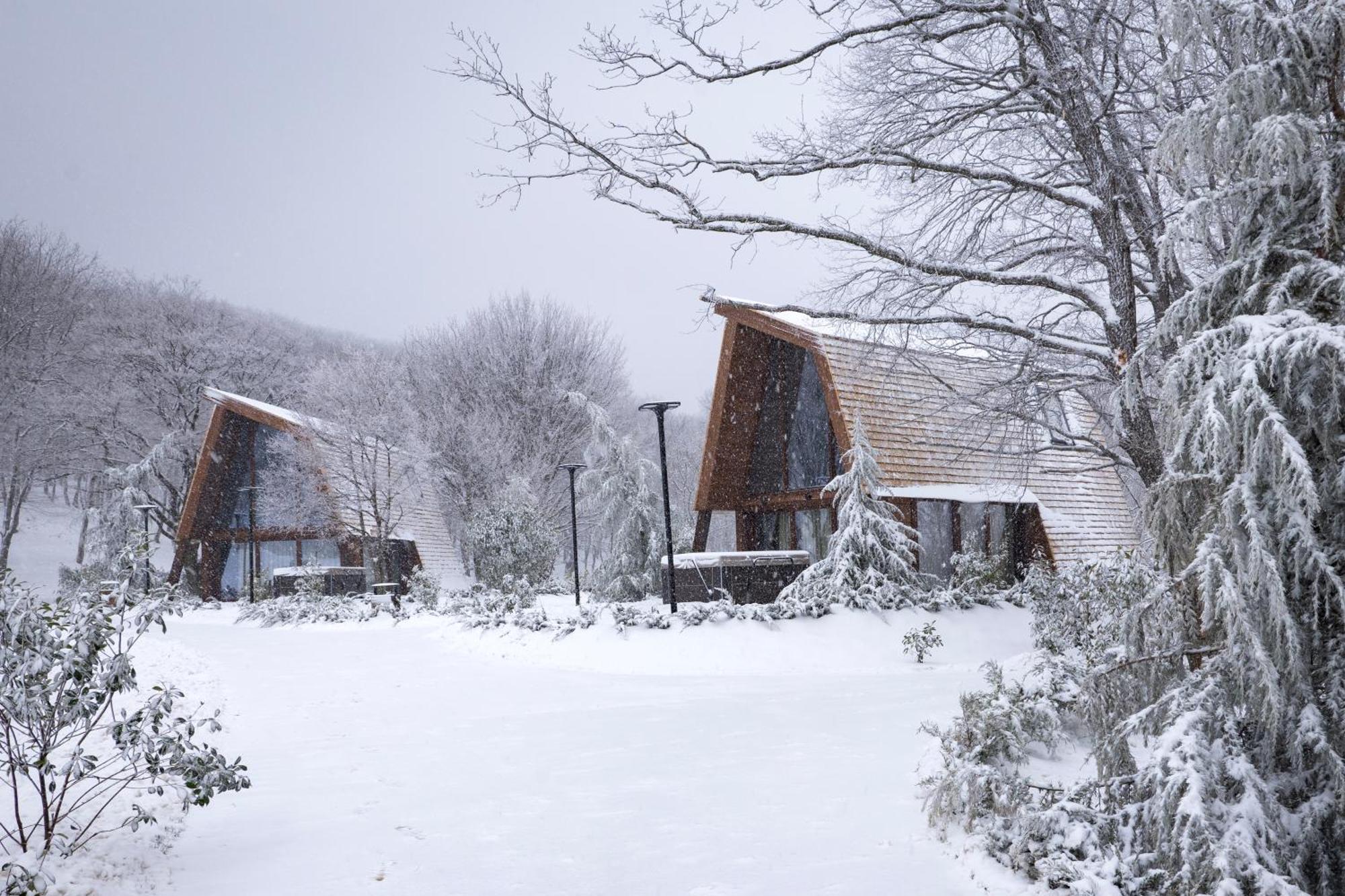 Bioli Wellness Resort Kojori Εξωτερικό φωτογραφία