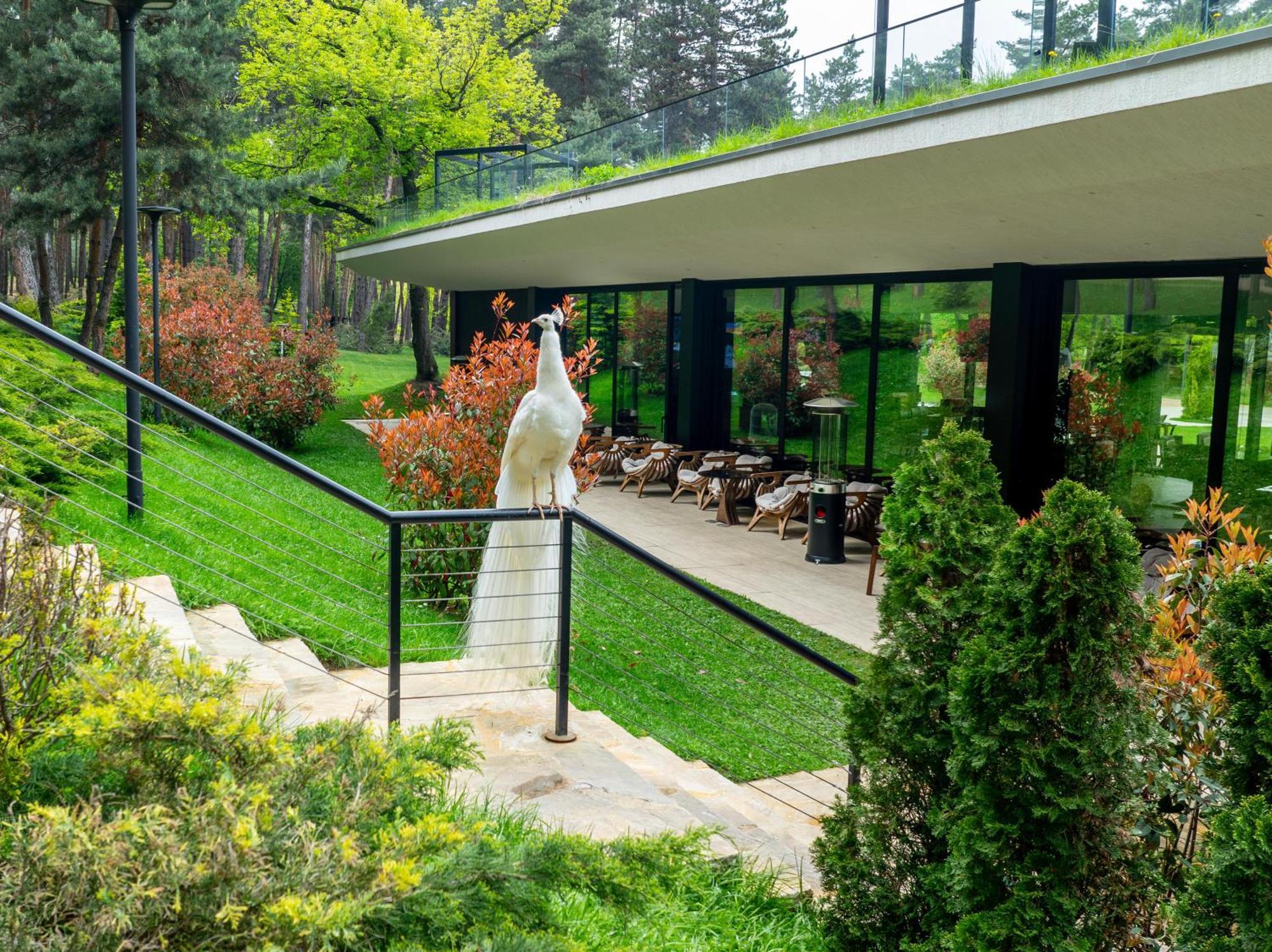 Bioli Wellness Resort Kojori Εξωτερικό φωτογραφία